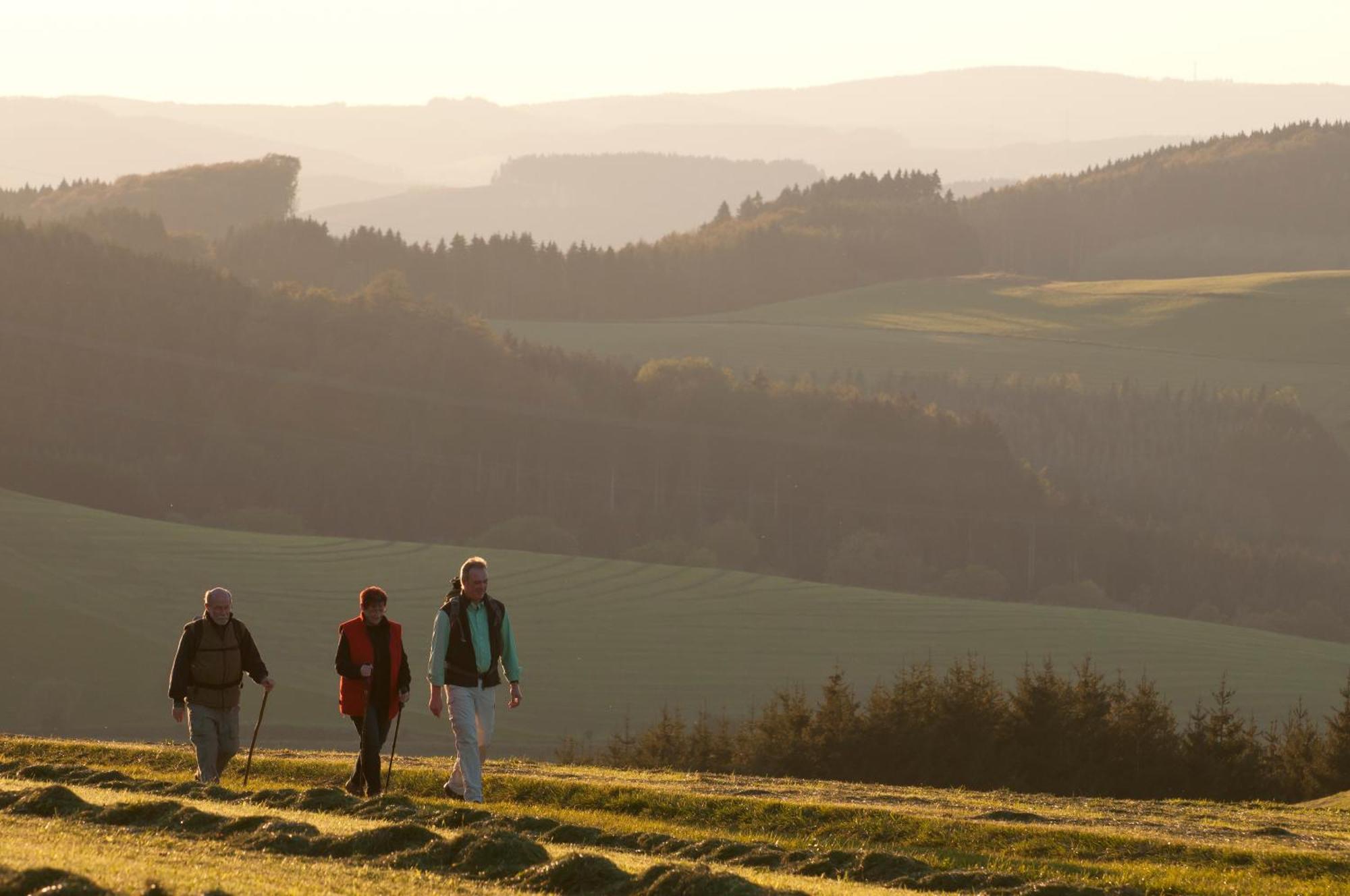 Wuellner'S Landgasthof Schmallenberg Bagian luar foto